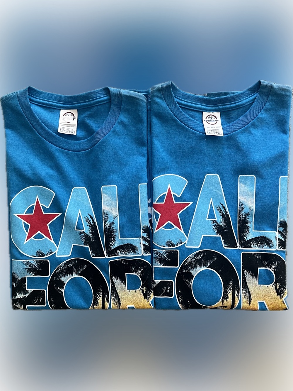 [BUNDLE]  2 California Republic Bear Star Graphic Shirts Men Medium Bundle
